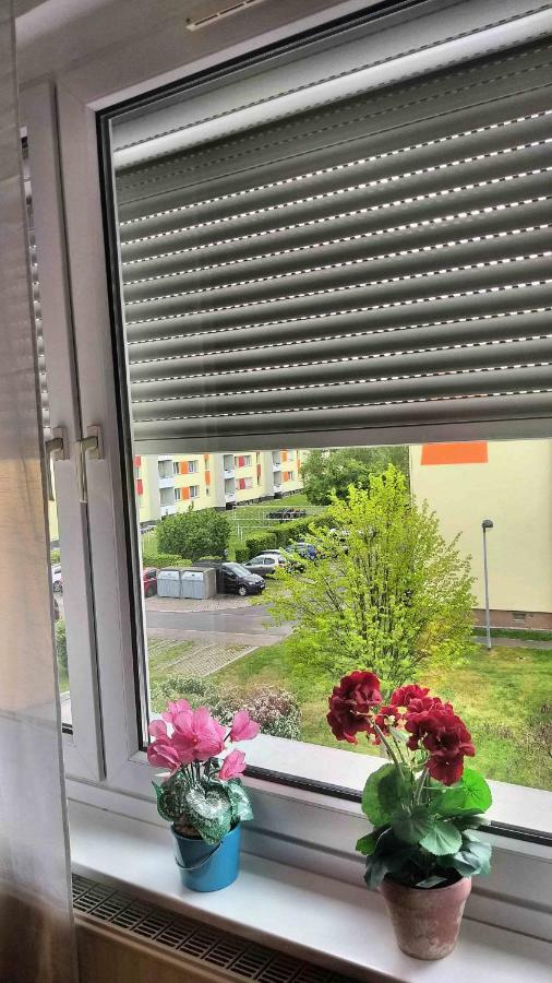 Komfort Ferienwohnungen Zwenkauer See Dış mekan fotoğraf